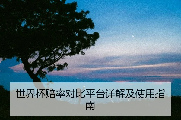 世界杯赔率对比平台详解及使用指南